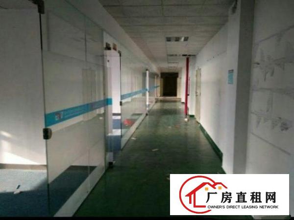 
坂田仓库，电商，房厂，物流仓库400平米大小都有