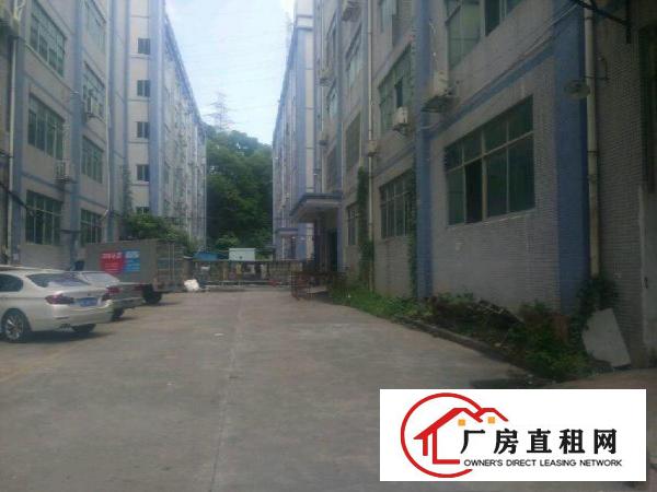 
坂田仓库，电商，房厂，物流仓库400平米大小都有