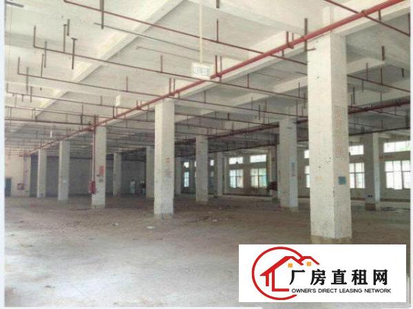 
杨美地铁口一楼900平,可分租