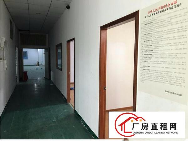
上雪科技园新空出带装修600平厂房，无需转让费