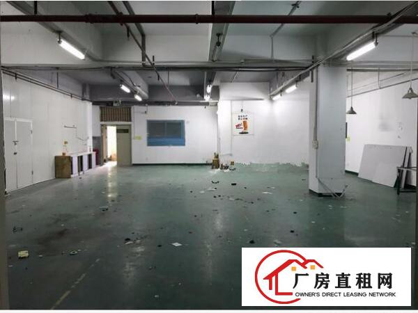 
上雪科技园新空出带装修600平厂房，无需转让费