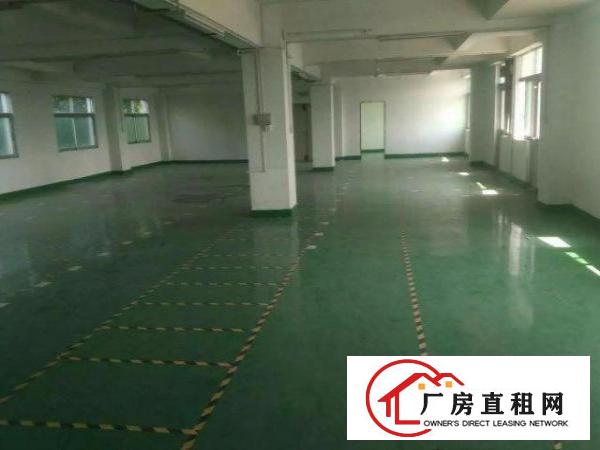 
五和地铁口空出3楼800平带装修适合电商贸易办公