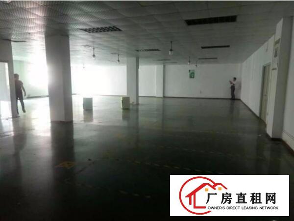 
上雪科技园新出楼上带精装修1200厂房出租