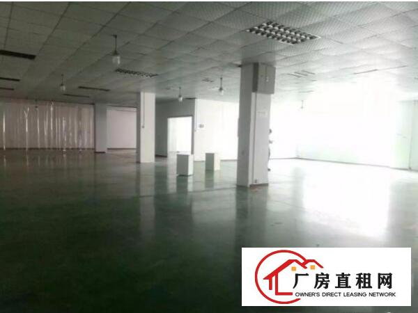 
上雪科技园新出楼上带精装修1200厂房出租