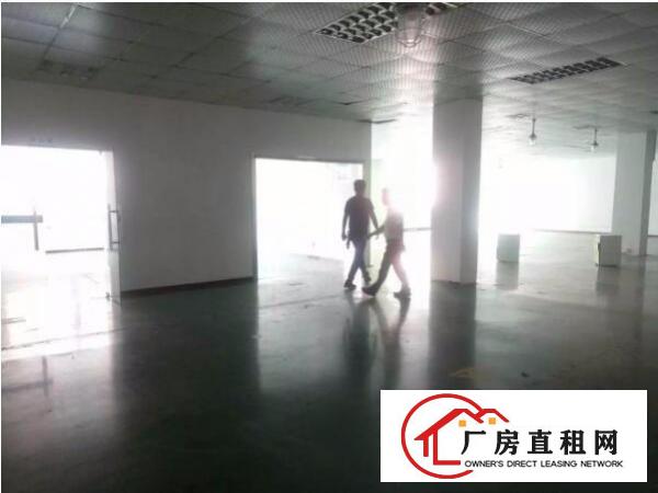 
上雪科技园新出楼上带精装修1200厂房出租