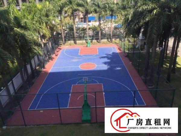 
坂田杨美地铁站新出300电商办公楼出租