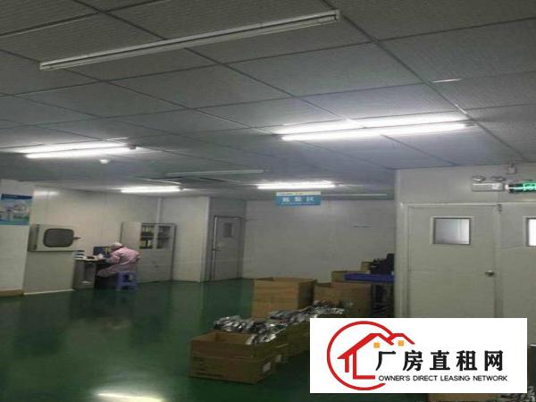 
坂田五和地铁口新出3楼1000平带千级无尘车间招租
