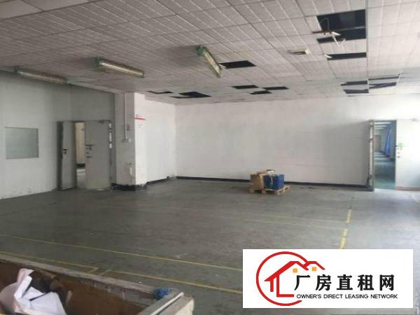 
坂田利金城新出3楼4楼每层2200平方刚刚招租