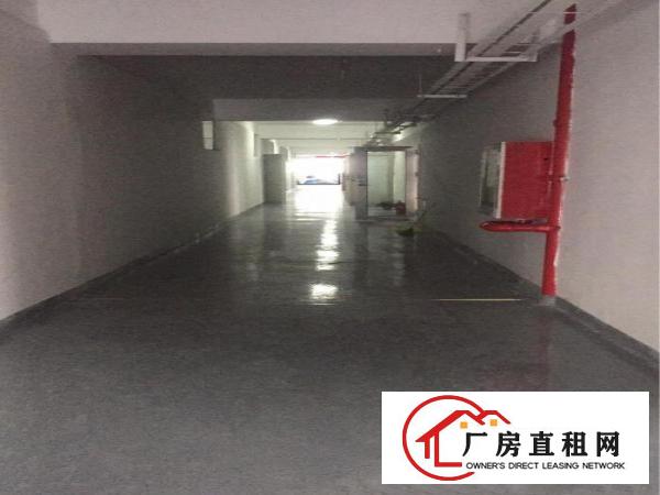 
龙岗区五和地铁站附近一楼2980平厂