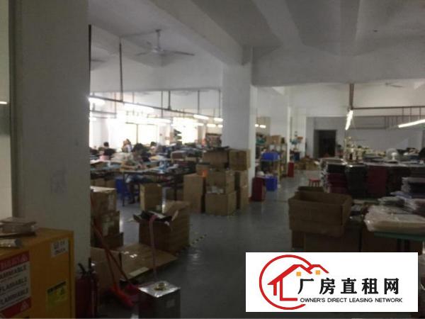 
上雪科技园新岀厂房带简单装修，300至1300平米