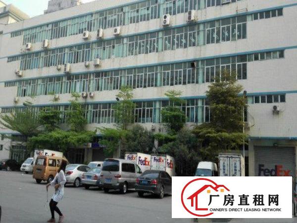 
坂田龙壁高新科技园2楼3楼每层1900平方新招租