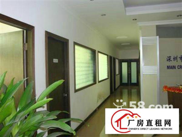 
布龙路地铁口新出2/3楼单层2100㎡带豪华装修租