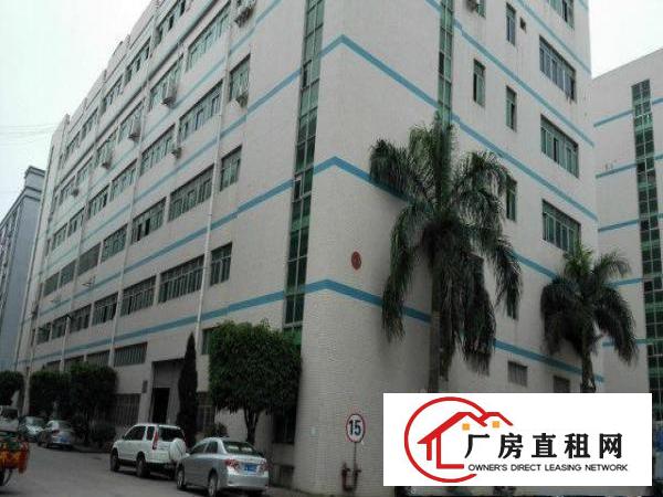 
五和地铁口新出4楼1600平带精装修适合电商办公贸