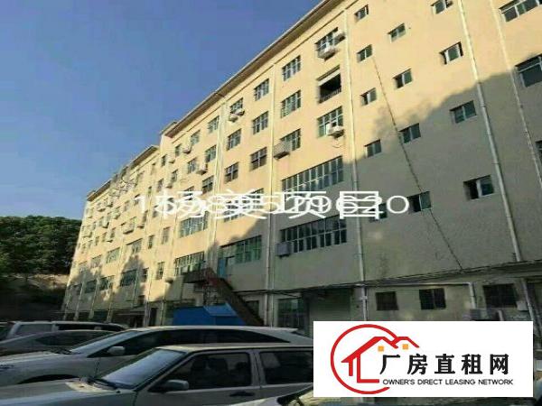 
红本独门独院独栋厂房适合数据库物流学校医院企业总部培训
