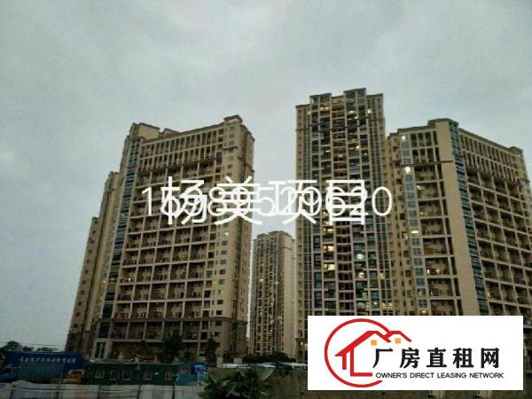 
红本独门独院独栋厂房适合数据库物流学校医院企业总部培训