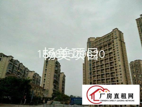 
红本独门独院独栋厂房适合数据库物流学校医院企业总部培训