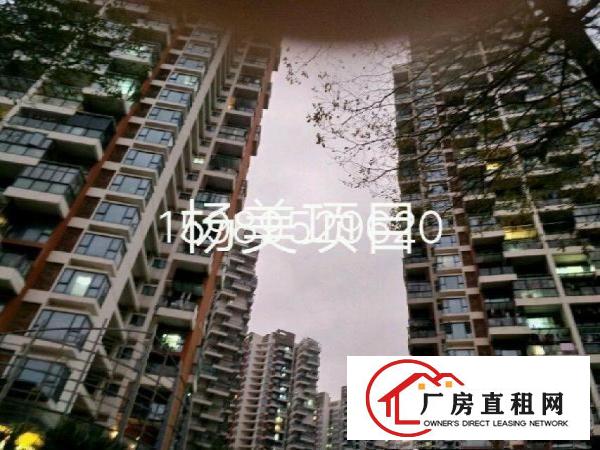 
红本独门独院独栋厂房适合数据库物流学校医院企业总部培训