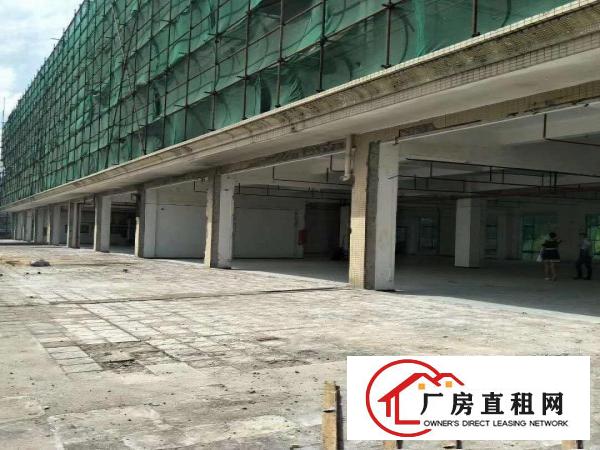 
红本独门独院独栋厂房适合数据库物流学校医院企业总部培训