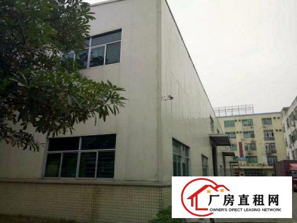 
业主直租龙岗区坂田岗头钢构、标准厂房，免中介费