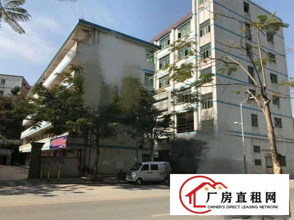 
坂田新出独门独院厂房13000平米，可分租