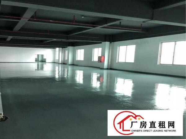 
(一楼)(二楼)120平300平跨境电商产业园中兴路