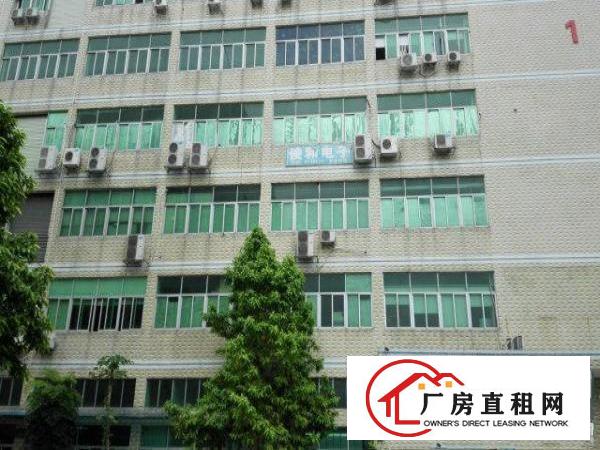 
坂田四季花城五和地铁口新出3楼1100平方招租