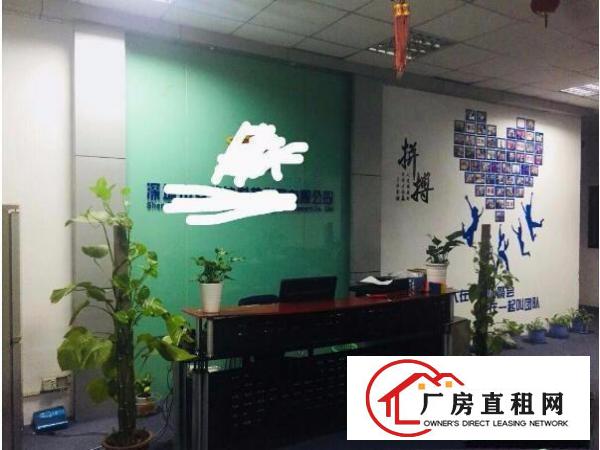 
坂田高新工业区新出带精装修厂房675平米，无转让费