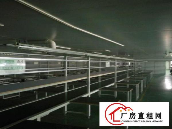 
坂田吉华路工业园厂房仓库1000平米800平米招租
