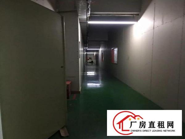 
坂田江灏工业区720平方出租