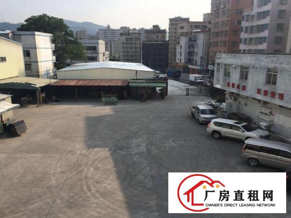 
杨美地铁口12米高钢构厂房业主急租