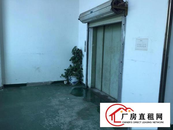 
坂田地铁口为数极少，带装修1260平。