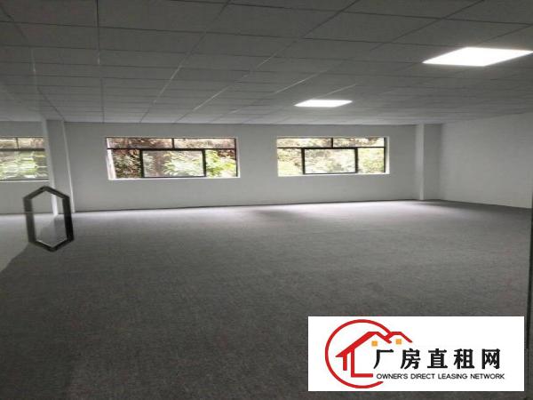 
坂田杨美双地铁口90平电商园