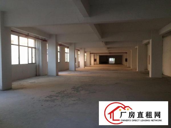 
布吉/吉华/坂田厂房仓库办公室写字楼招租电商产业园