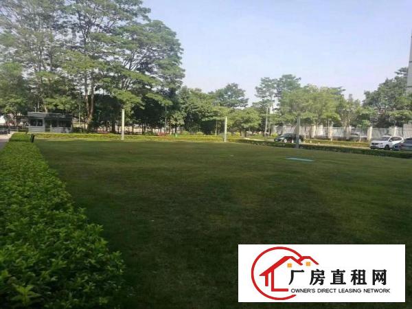 
坂田吉华路雪科技园新出整层2580平可做研发净水器等