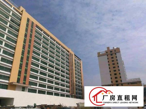 
坂田吉华路雪科技园新出整层2580平可做研发净水器等