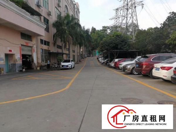 
（电商仓库小加工）黄金山新出楼上410平，带装修~~业主直租