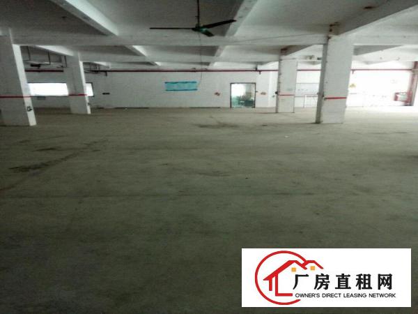 
布吉上李朗独门独院9000m厂房出租