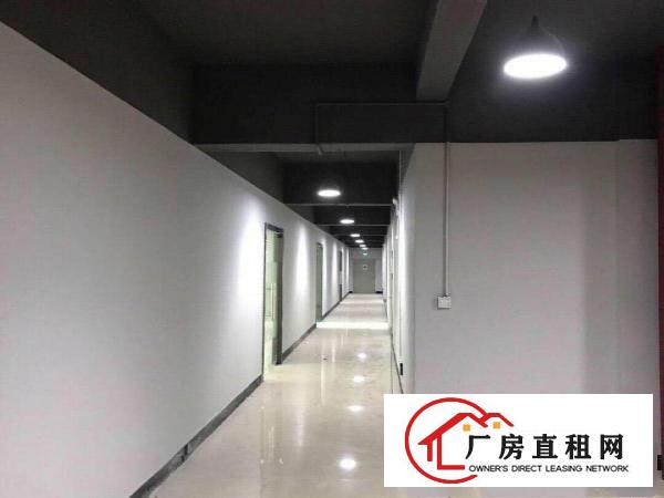 
坂田办公电商厂房180㎡250㎡-1800㎡招租