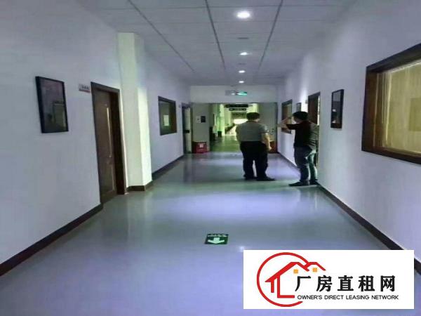 
坂田杨美地铁站附近厂房，交通便利，环境优美，大小可以分租