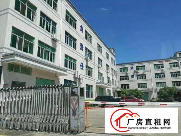 
坂田杨美地铁站附近厂房，交通便利，环境优美，大小可以分租