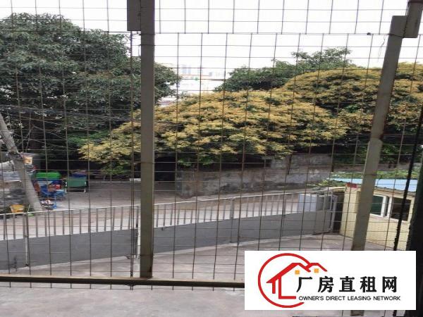 
龙岗区坂田小厂房出租面积820平面