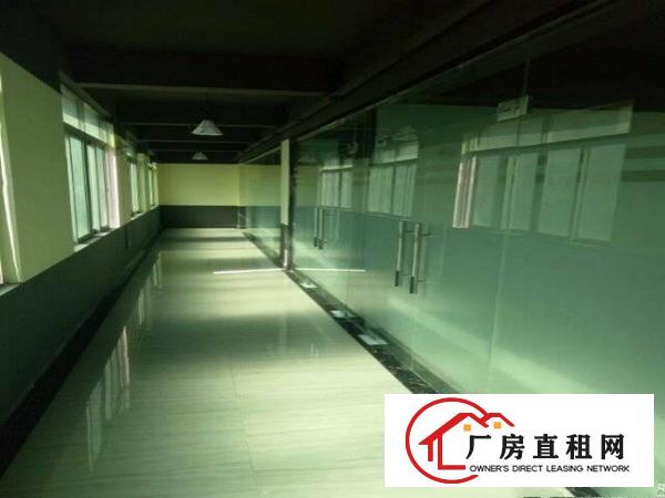 
坂田五和地铁口1000平标准厂房出租