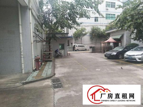 
出租龙岗区坂田上雪一楼200平（可做仓库，国际物流，电商）