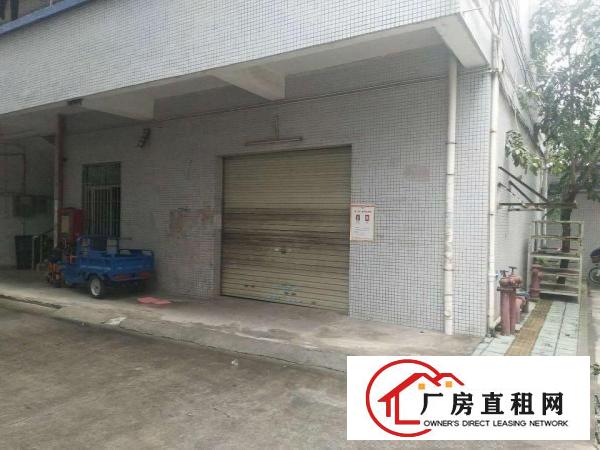 
出租龙岗区坂田上雪一楼200平（可做仓库，国际物流，电商）