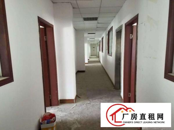
坂田吉华路电商办公仓1200带装修（免佣）