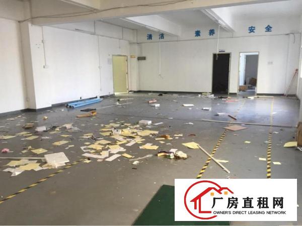 
坂田带装修150平至1000平米厂房仓库出租