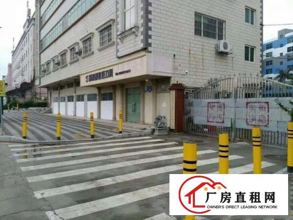 
出租地铁站口附近一楼646平和495平！