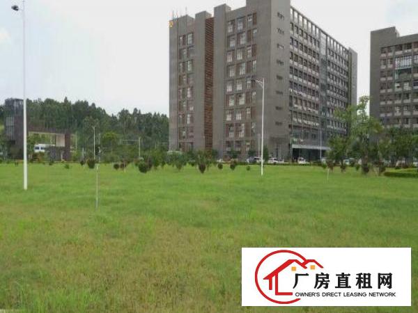 
坂田工业区30000平方米厂房仓库招租