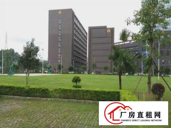 
坂田工业区30000平方米厂房仓库招租