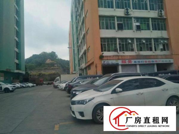 
杨美地铁口新出一楼3750平标准厂房招租！！